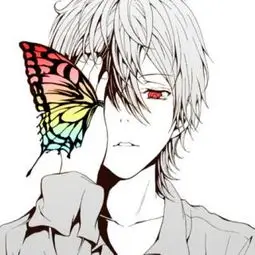 qimi avatar